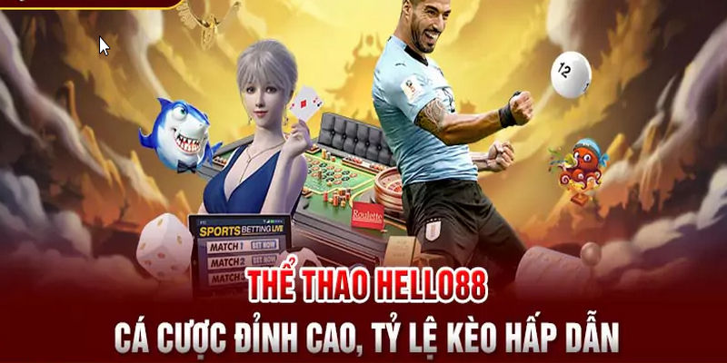 Nhà cái cung cấp đa dạng hình thức cá cược tại sảnh thể thao với bảng kèo phong phú