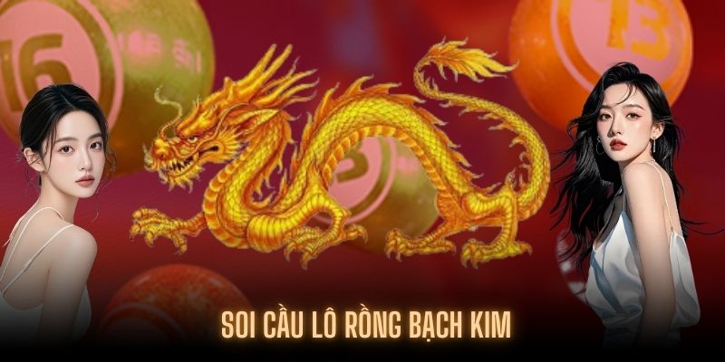 Giới thiệu về soi cầu rồng bạch kim HELLO88